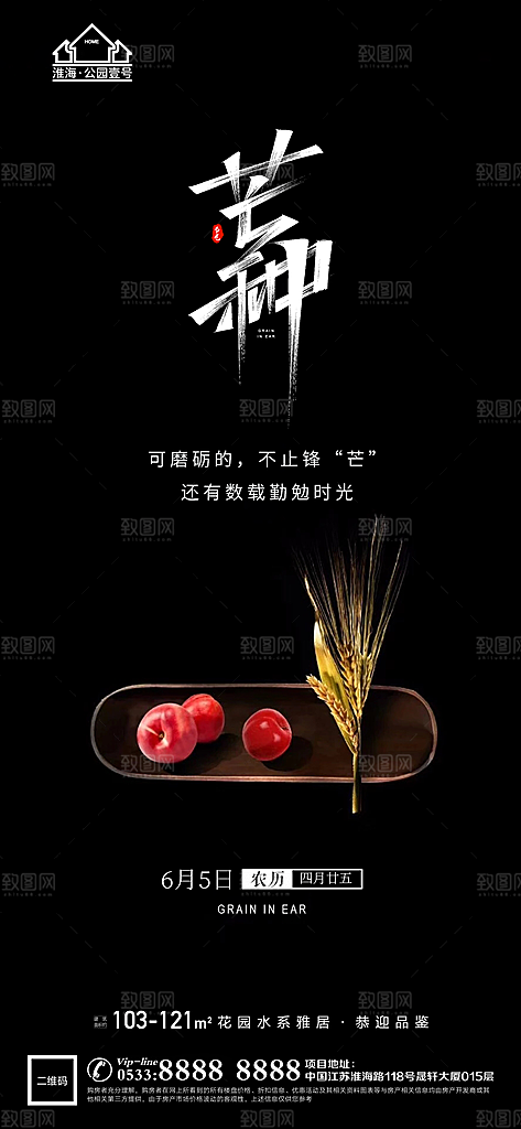 芒种推广宣传海报