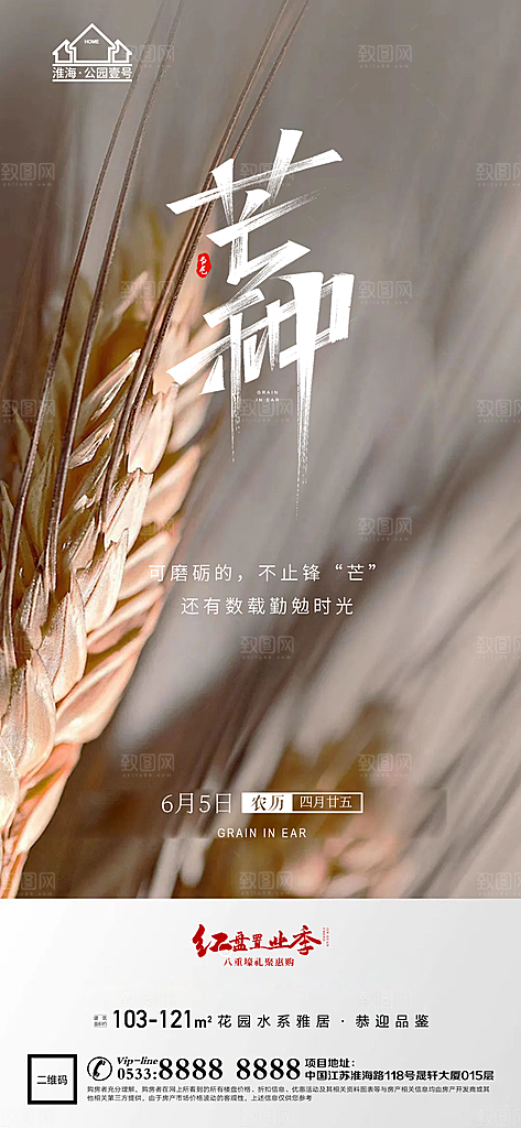 芒种推广宣传海报