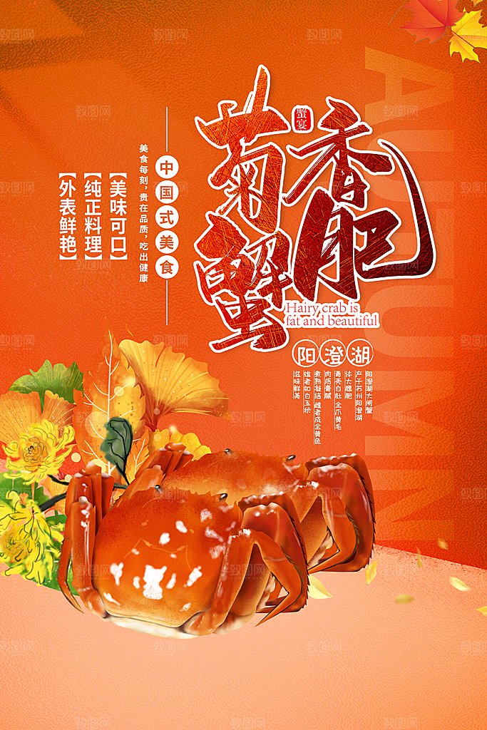 金秋美食大闸蟹图片