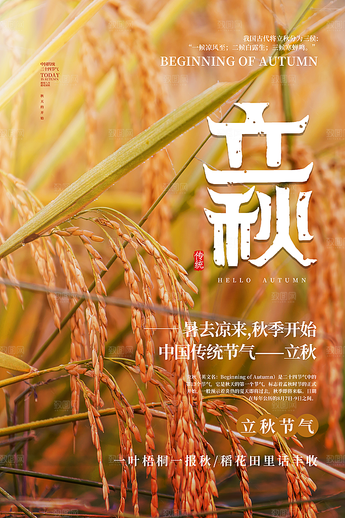 二十四节气立秋节气海报