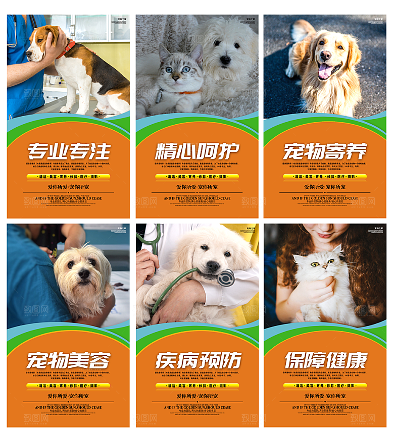 宠物医疗套图海报