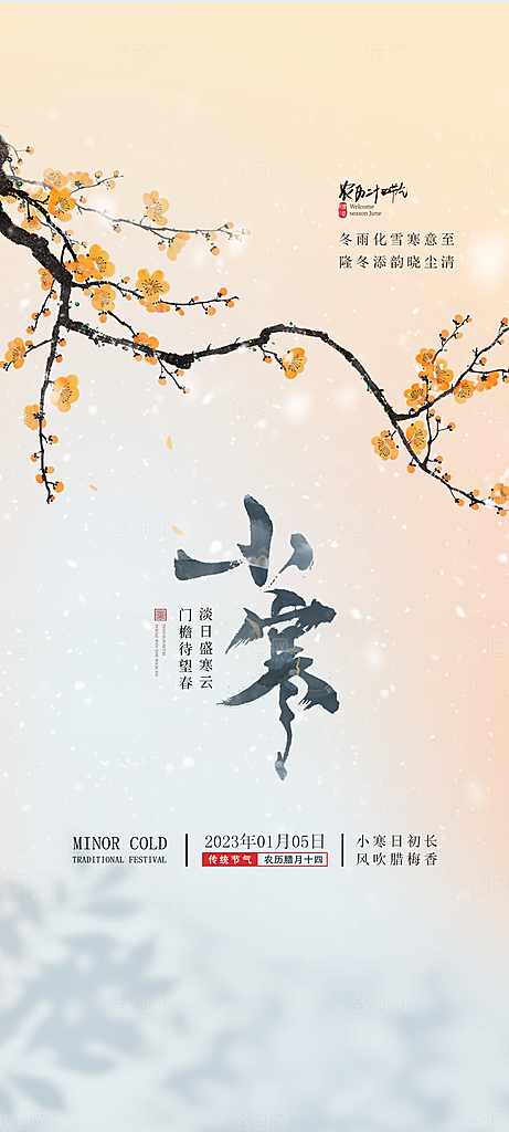 地产小寒节气简约大气海报