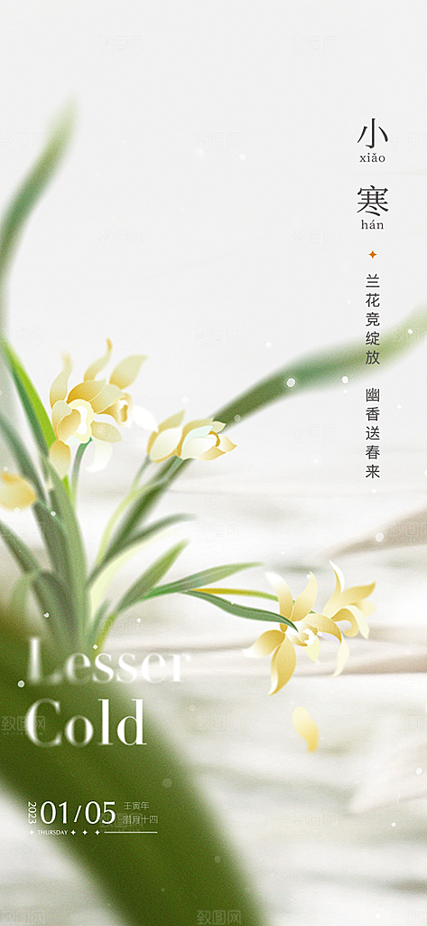 地产小寒节气简约大气海报