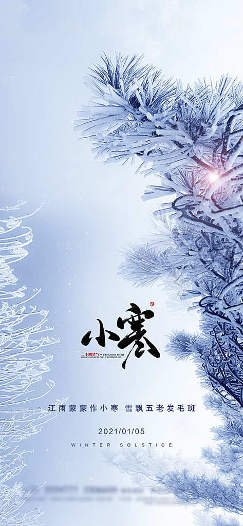 地产小寒节气简约大气海报