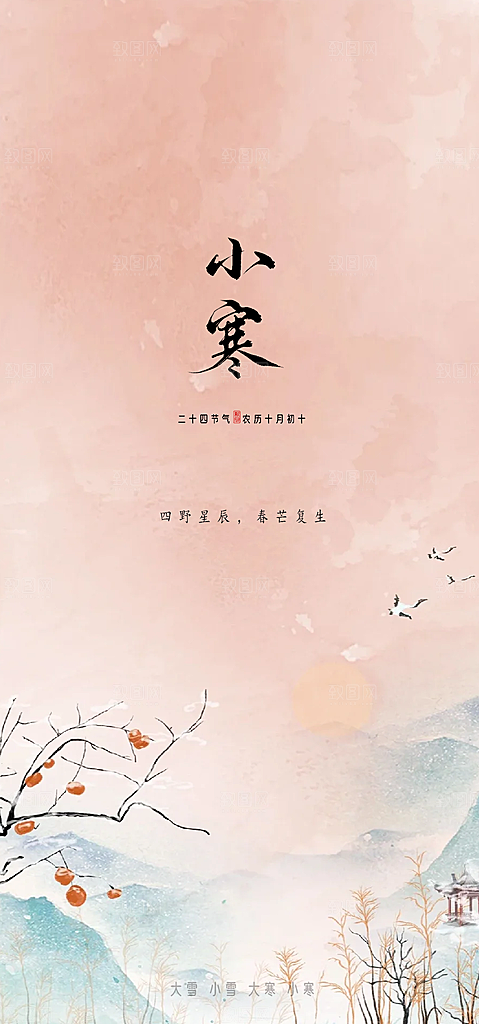 地产小寒节气简约大气海报