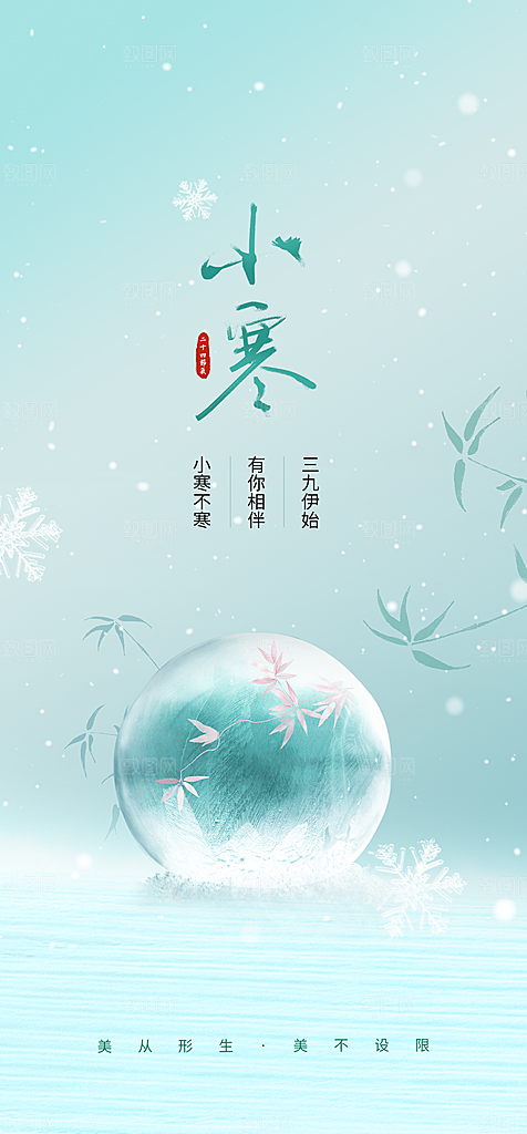 地产小寒节气简约大气海报