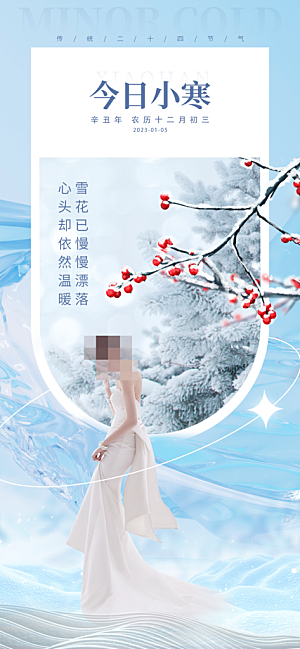 地产小寒节气简约大气海报