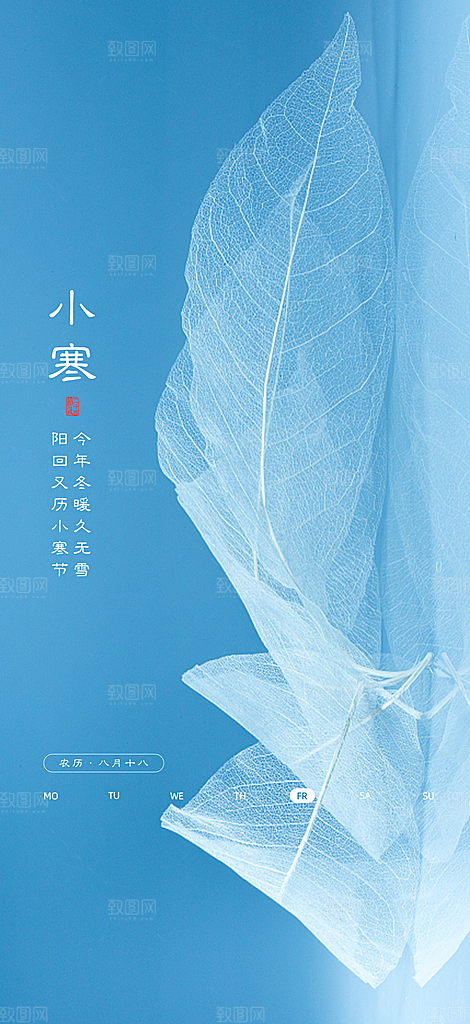 地产小寒节气简约大气海报