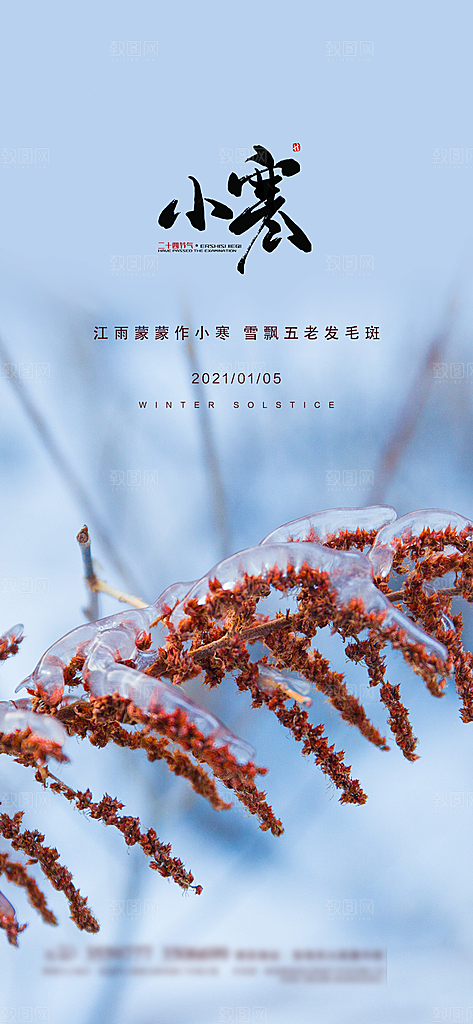 地产小寒节气简约大气海报