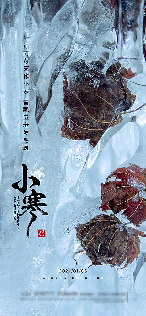地产小寒节气简约大气海报