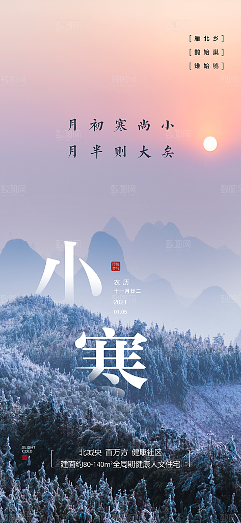 地产小寒节气简约大气海报
