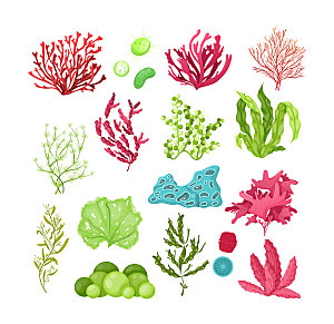 海洋珊瑚水草矢量元素