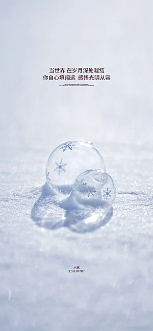地产小寒节气简约大气海报