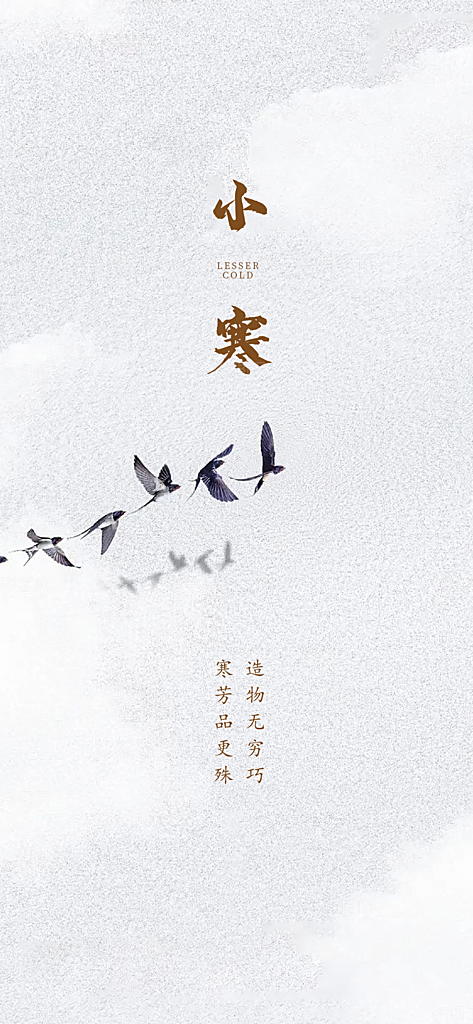 地产小寒节气简约大气海报