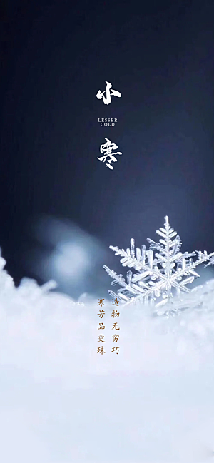 地产小寒节气简约大气海报