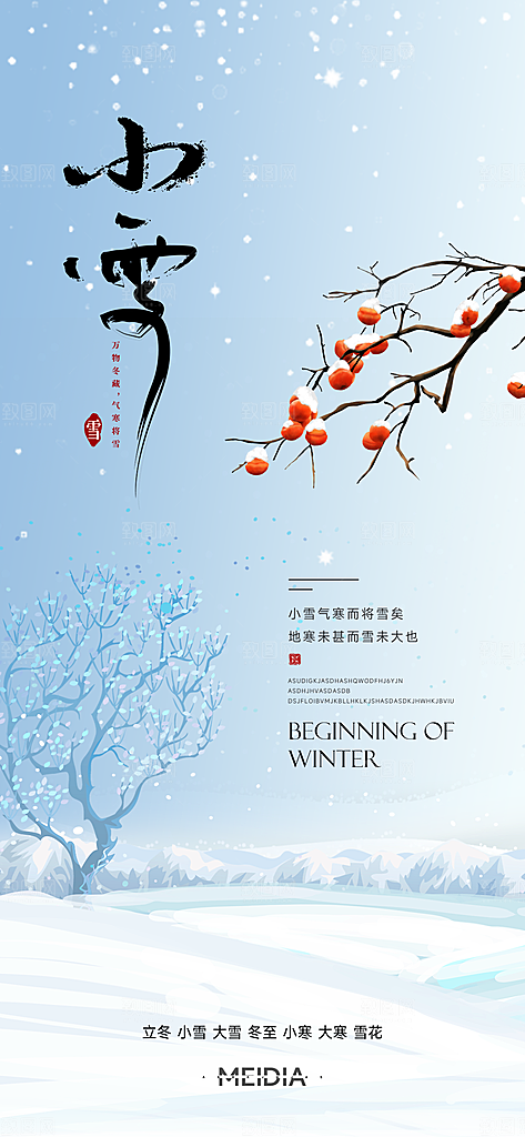 地产小寒节气简约大气海报