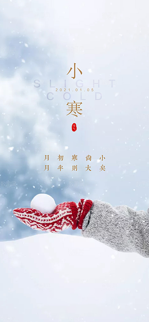 地产小寒节气简约大气海报