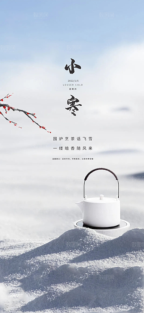 地产小寒节气简约大气海报