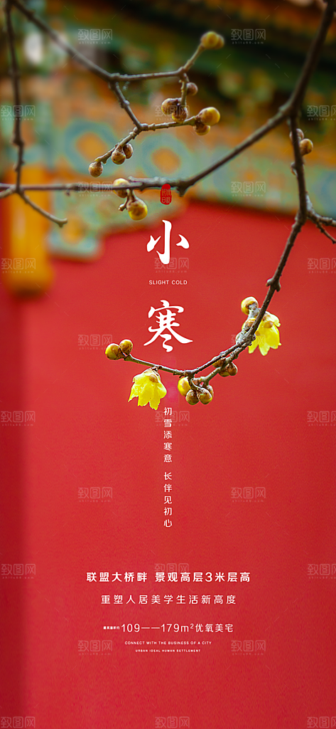 地产小寒节气简约大气海报