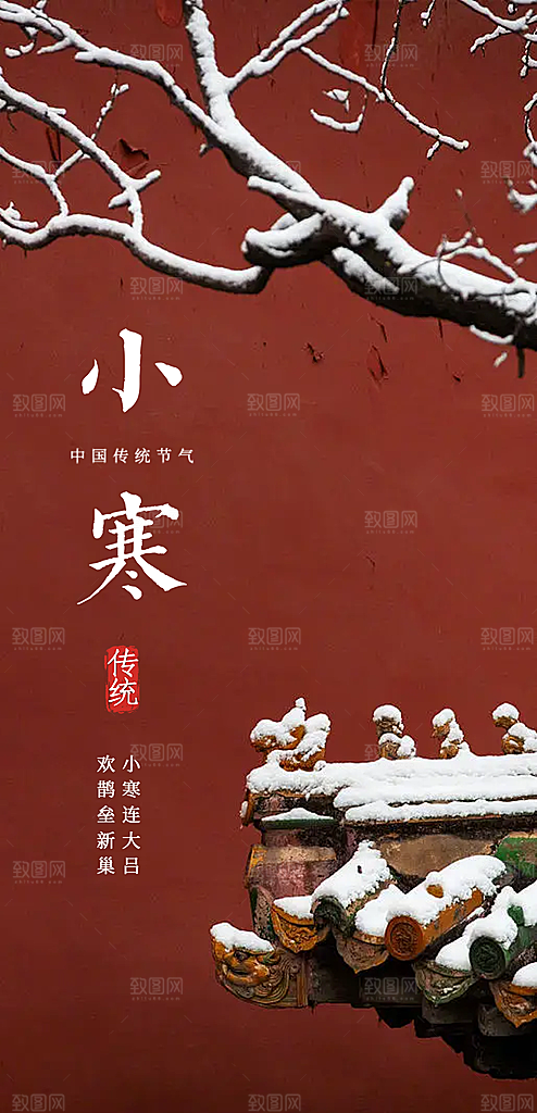 地产小寒节气简约大气海报