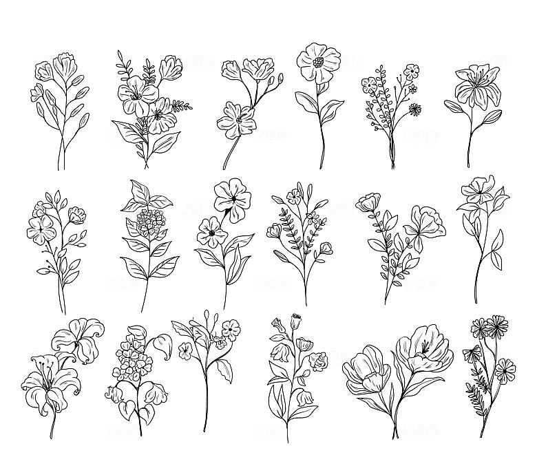线描花卉矢量元素
