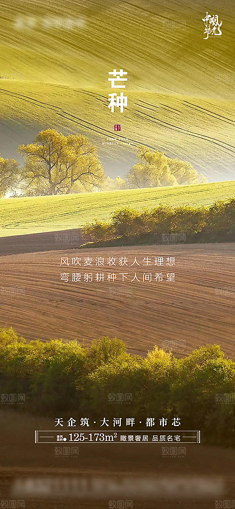 芒种节气设计素材海报