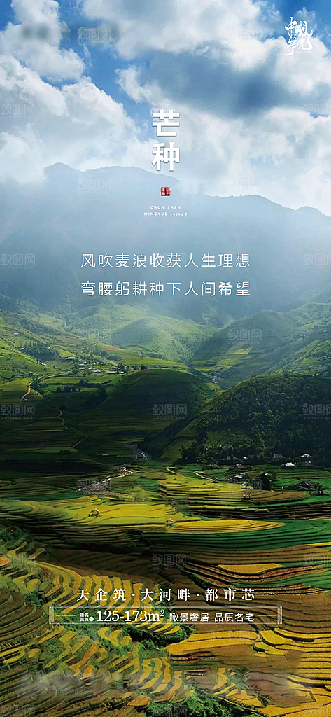 芒种节气设计素材海报