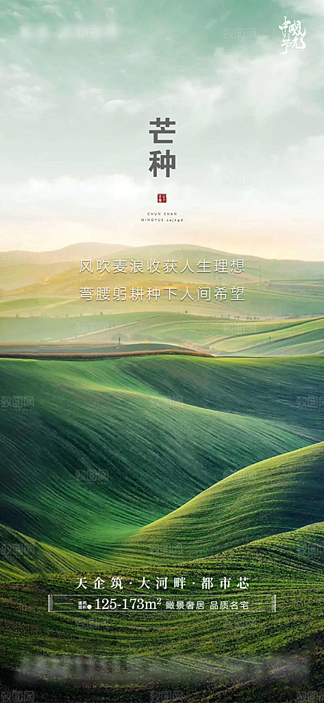 芒种节气设计素材海报
