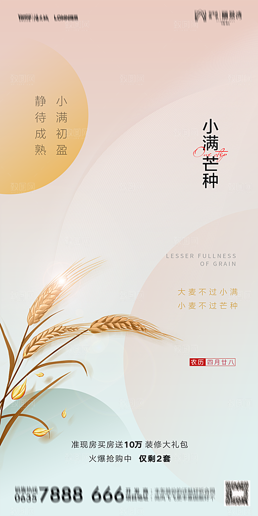 芒种节气设计素材海报