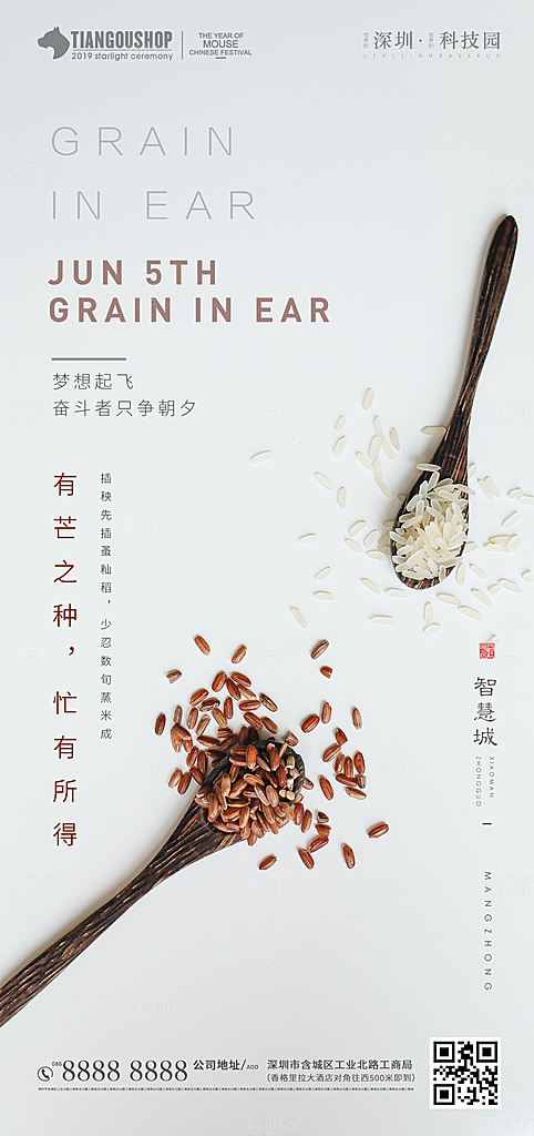 芒种节气设计素材海报