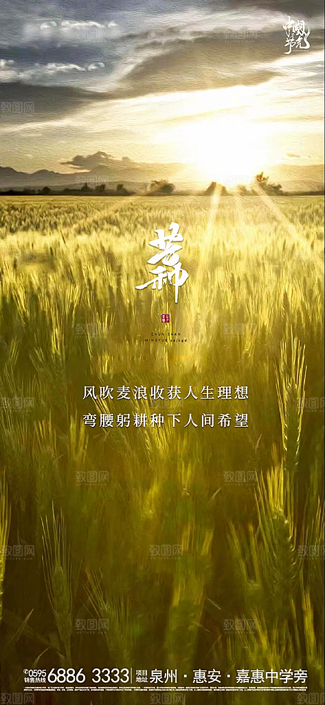 芒种节气海报设计素材