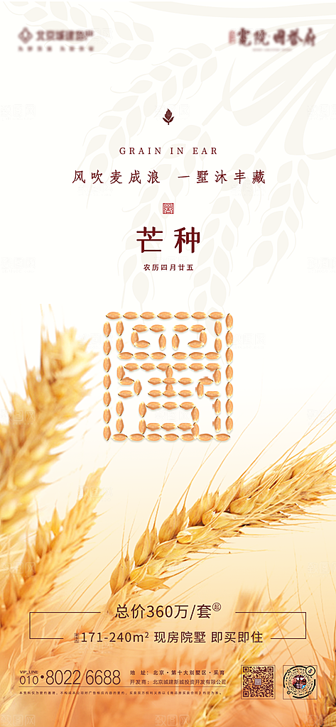 芒种节气海报设计