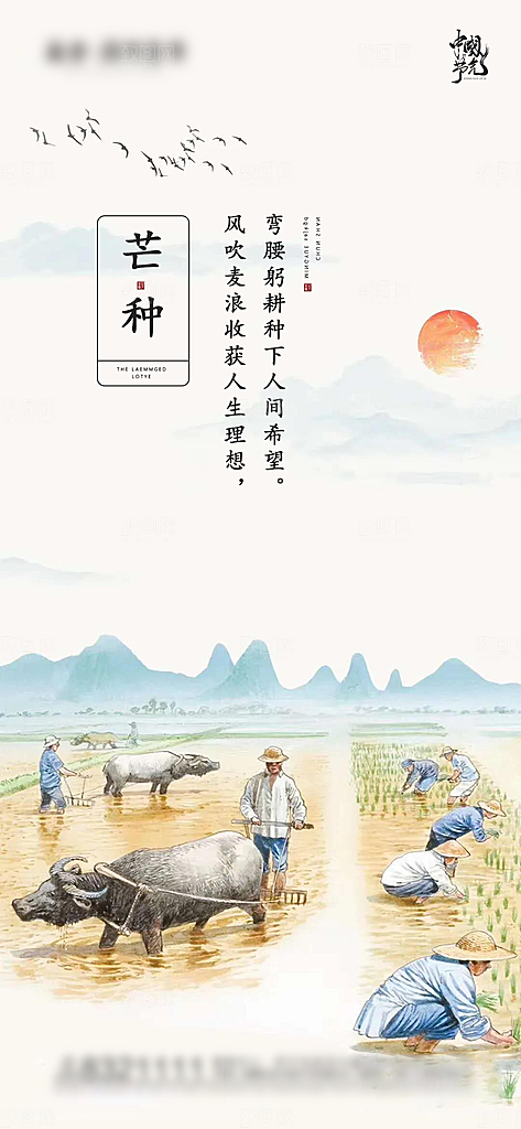 芒种节气海报宣传展板
