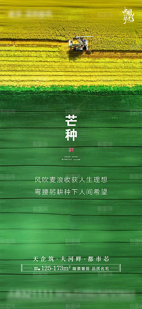 芒种节气海报宣传展板