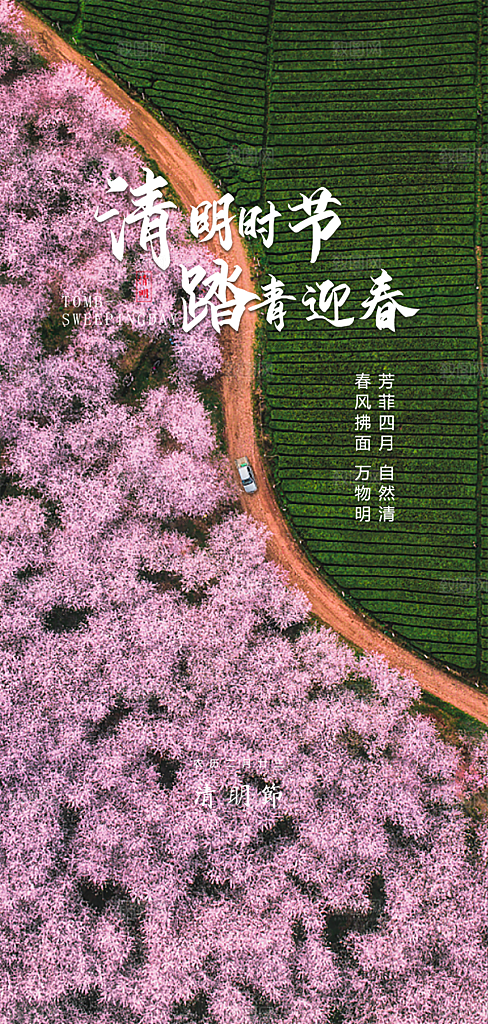 中国传统节气清明手机海报