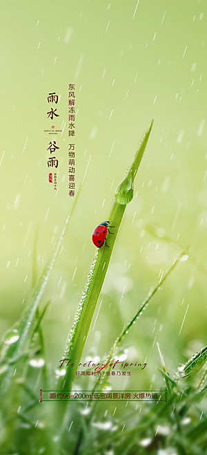 中国传统节气谷雨手机海报