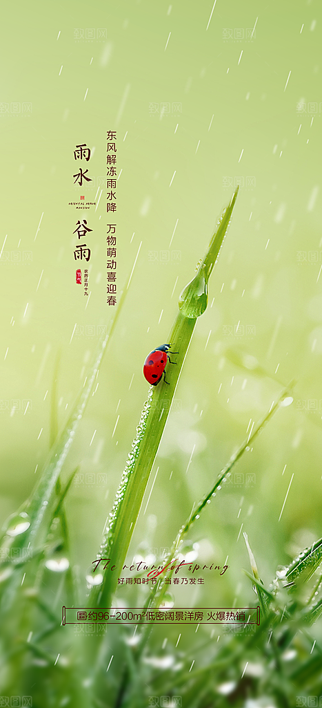 中国传统节气谷雨手机海报