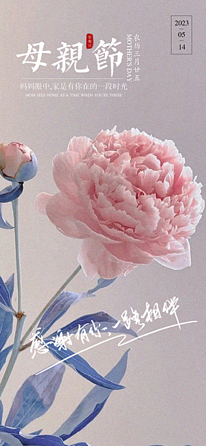 母亲节感恩粉色简约手机海报