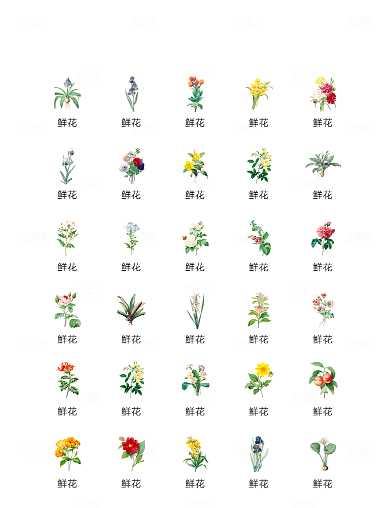 电商网购程序小图标