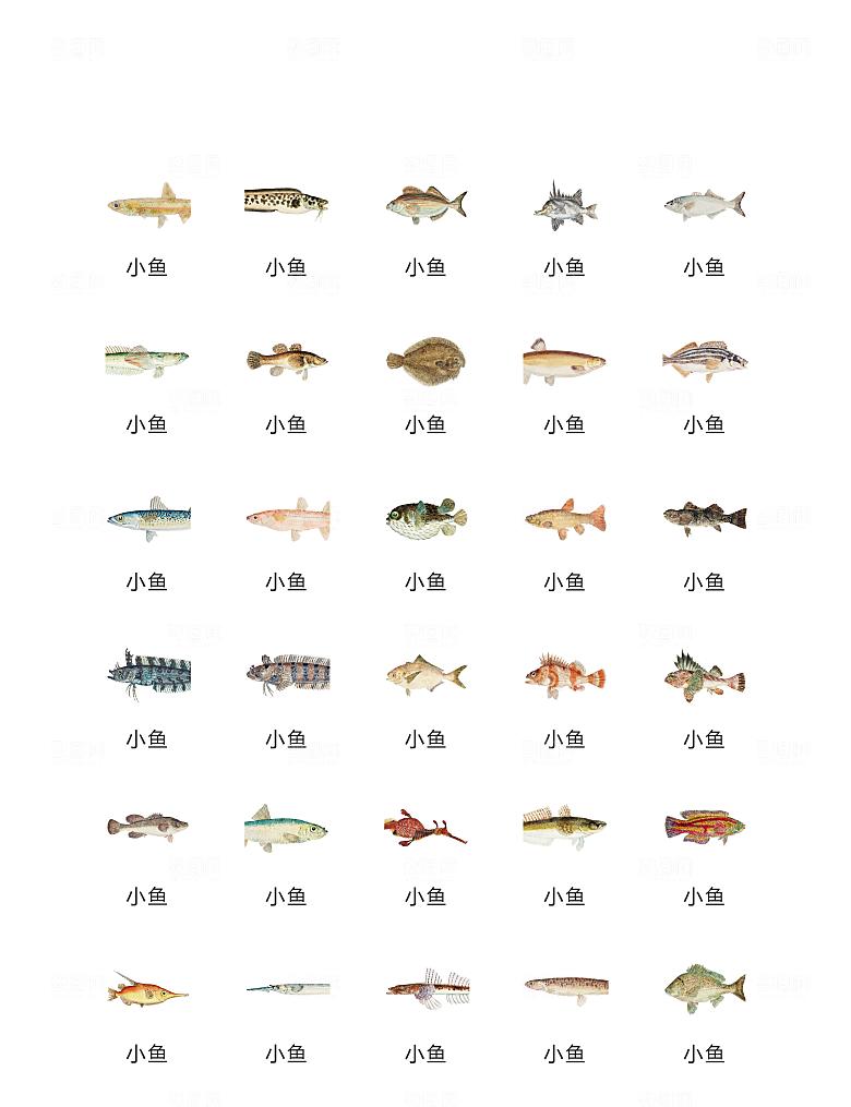 电商网购程序小图标