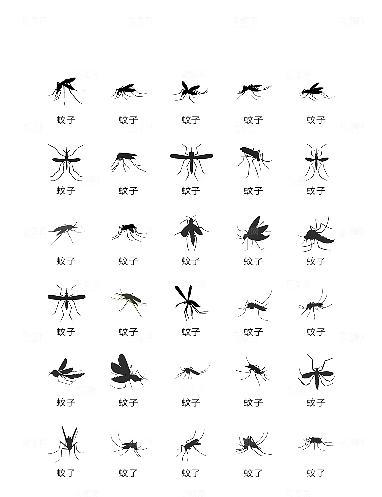 程序标识应用小图标