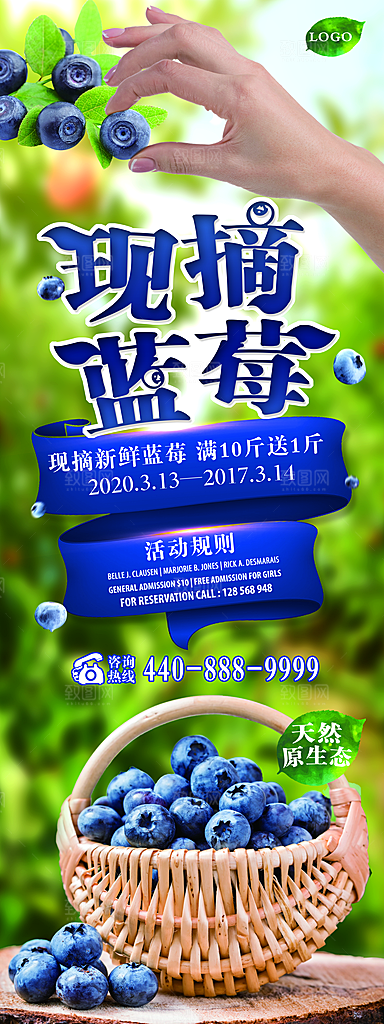 蓝莓水果欢迎活动宣传展架易拉宝