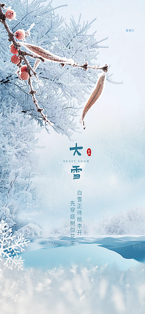 地产大雪节气简约大气海报