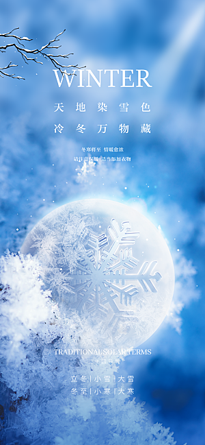 地产大雪节气简约大气海报