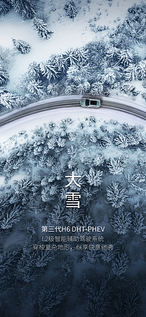 地产大雪节气简约大气海报