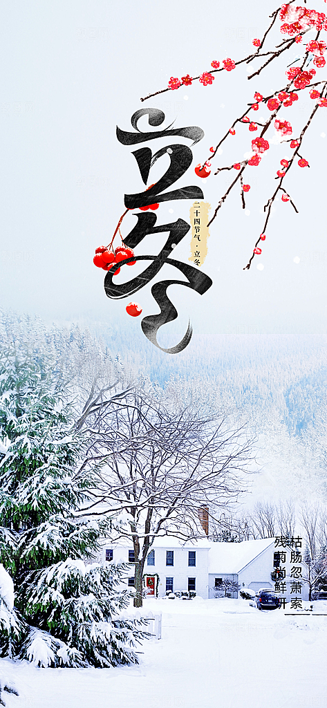冬天 滑雪 寒冷 培训 旅游 雪 雪花