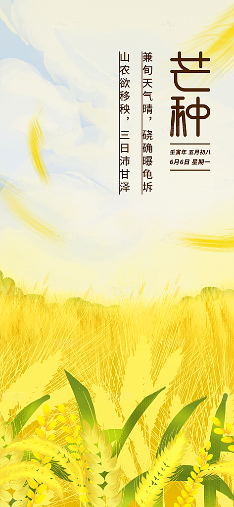 中国传统节气芒种简约手机海报