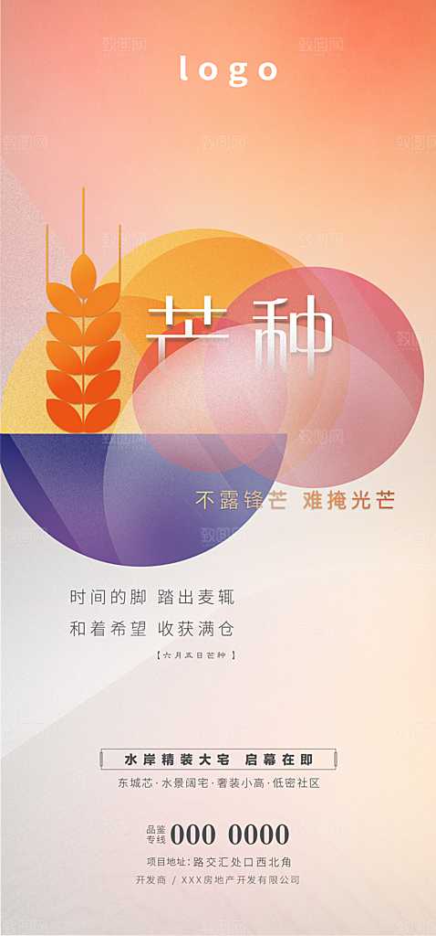 中国传统节气芒种简约手机海报