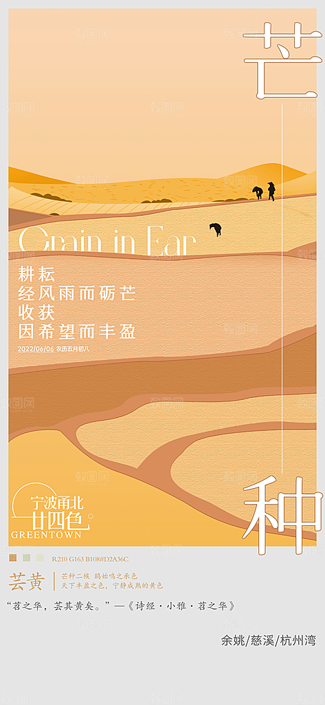 中国传统节气芒种简约手机海报