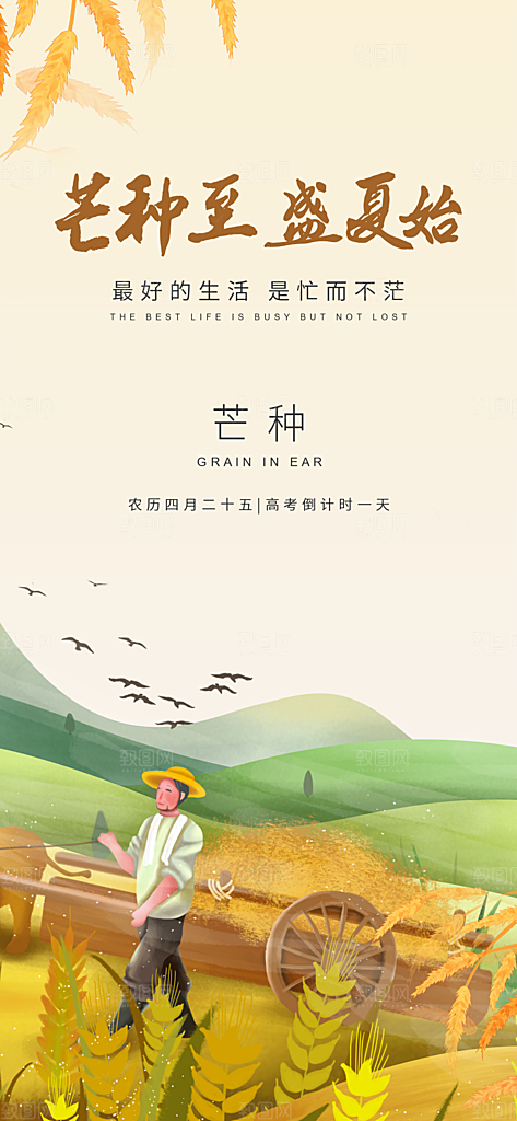 中国传统节气芒种简约手机海报